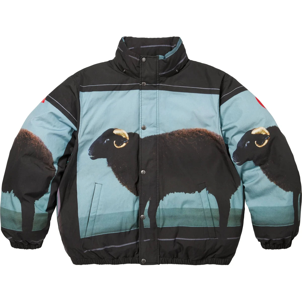 Supreme Damien Hirst Down Puffer Jacket