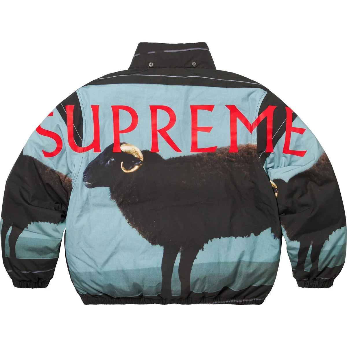 Supreme Damien Hirst Down Puffer Jacket