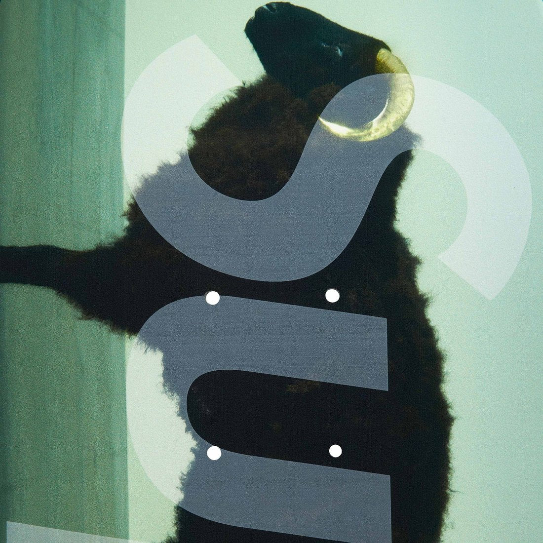 Supreme/Damien Hirst Sheep Skateboard