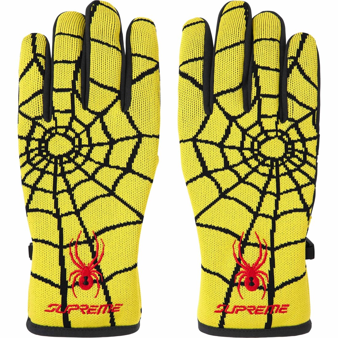 Supreme x Spyder Gloves