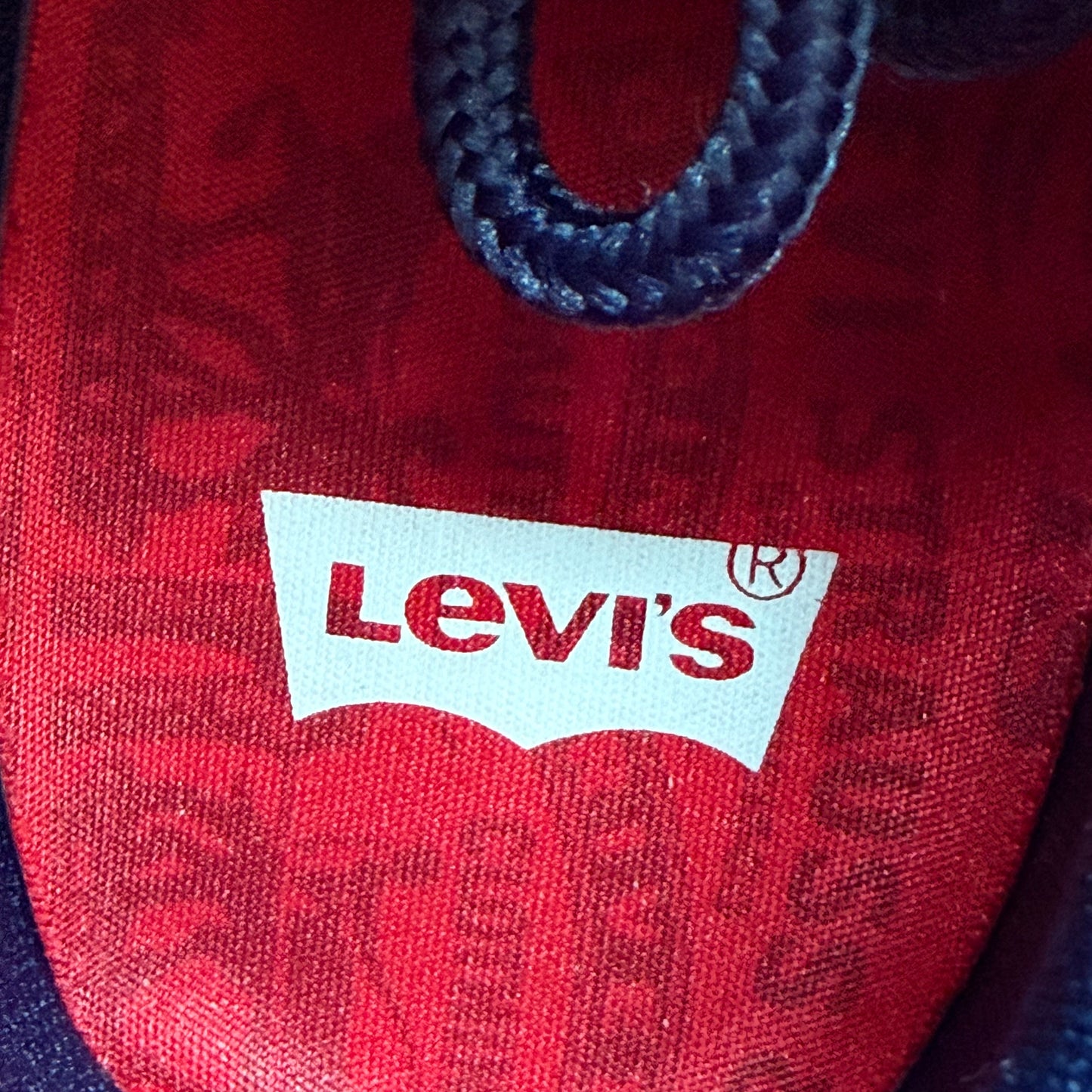 Size 10.5 - Levi's x Air Max 95 OG 'Obsidian' (Used)