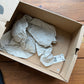 Größe 14.5 - Yeezy Boost 350 V2 'Oreo' (Gebraucht)