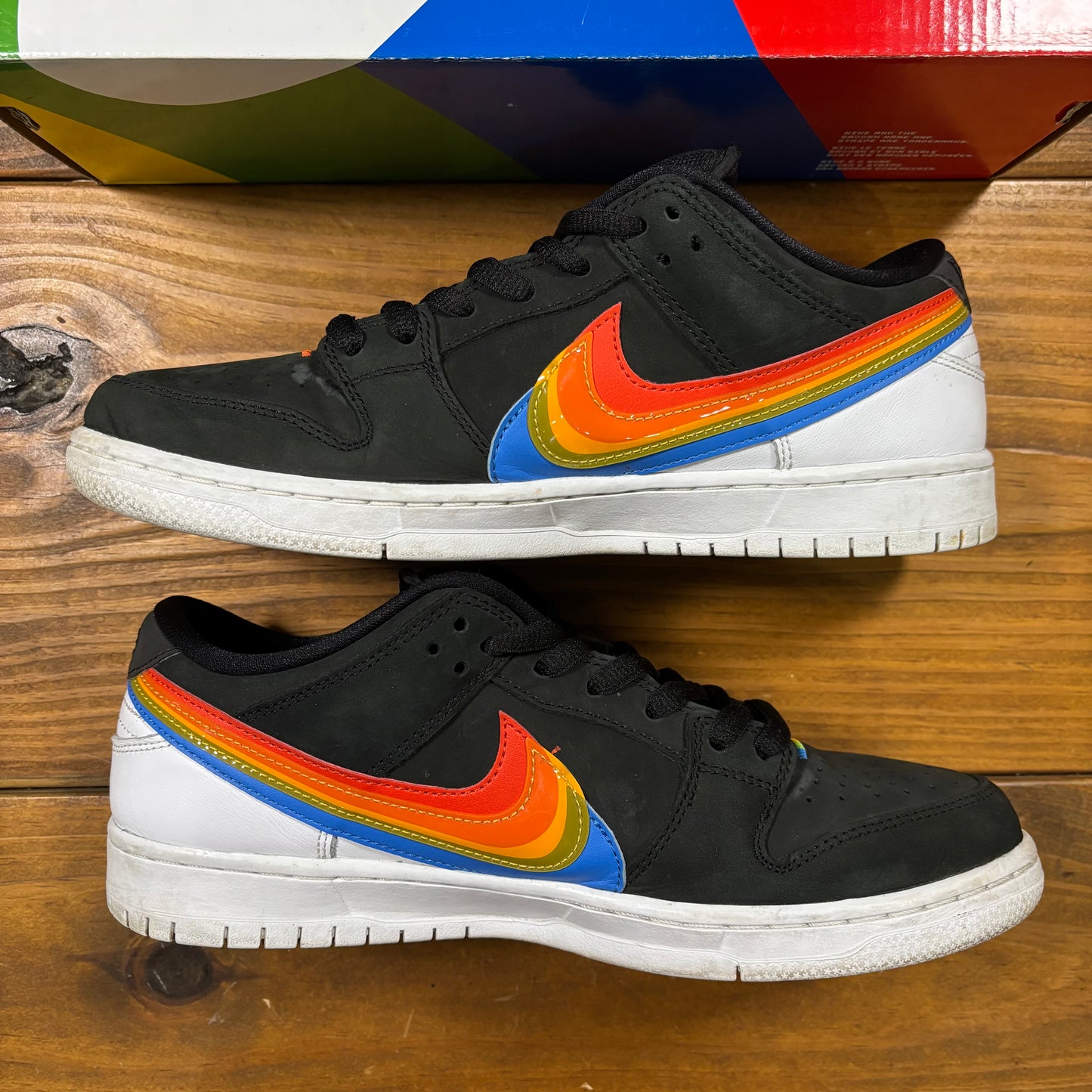 Polaroid x Dunk Low SB (Used)