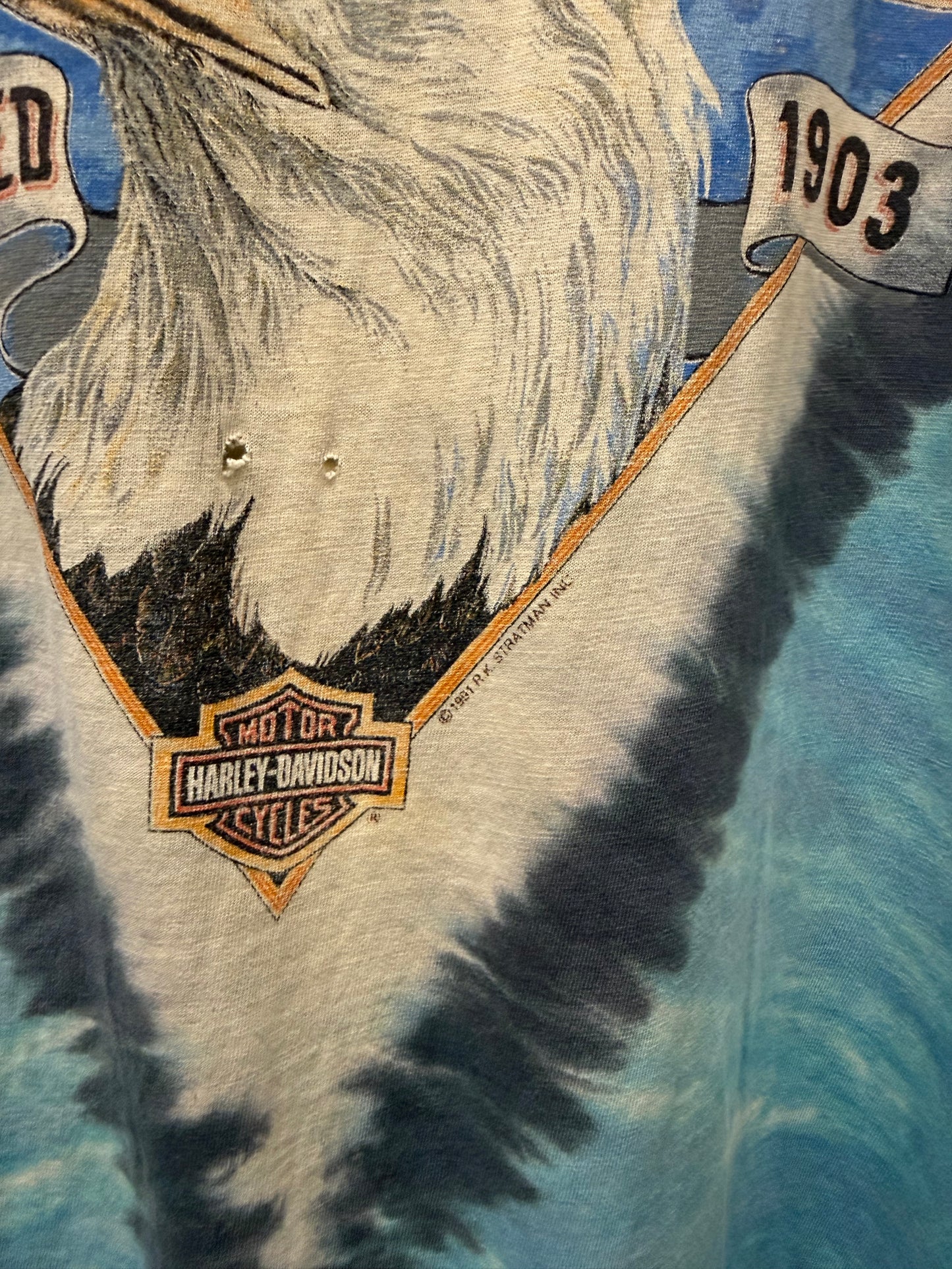 2XL - Vintage Harley Tie Dye Tee
