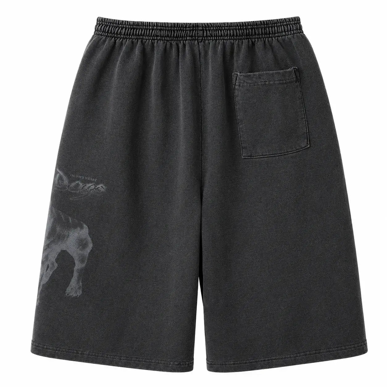 XL - GV Gallery Dog Shorts