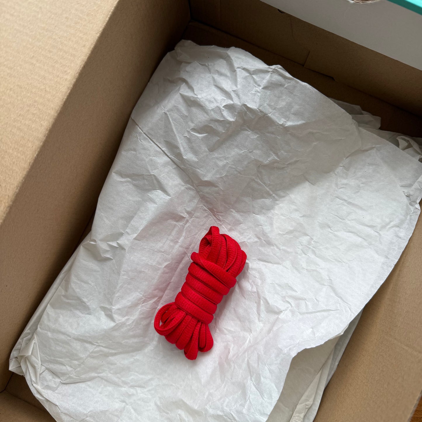 SIZE 12 - SB Dunk High Pro 'Dream Team' (Used)